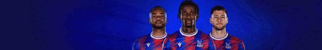 where can i buy sudoku books
